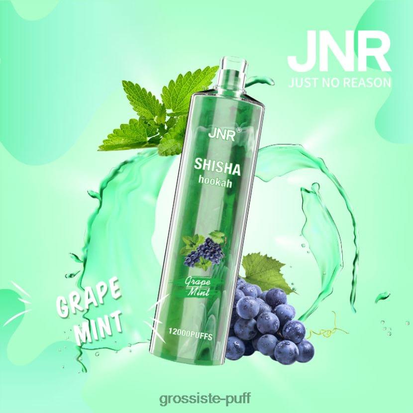 JNR ShiSha Hookah grape mint
